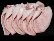 供应冷冻猪耳朵，猪口条，猪皮