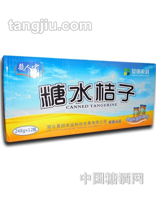 楚人家糖水桔子罐头248g