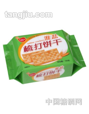 嘉顿淮盐梳打饼干100g