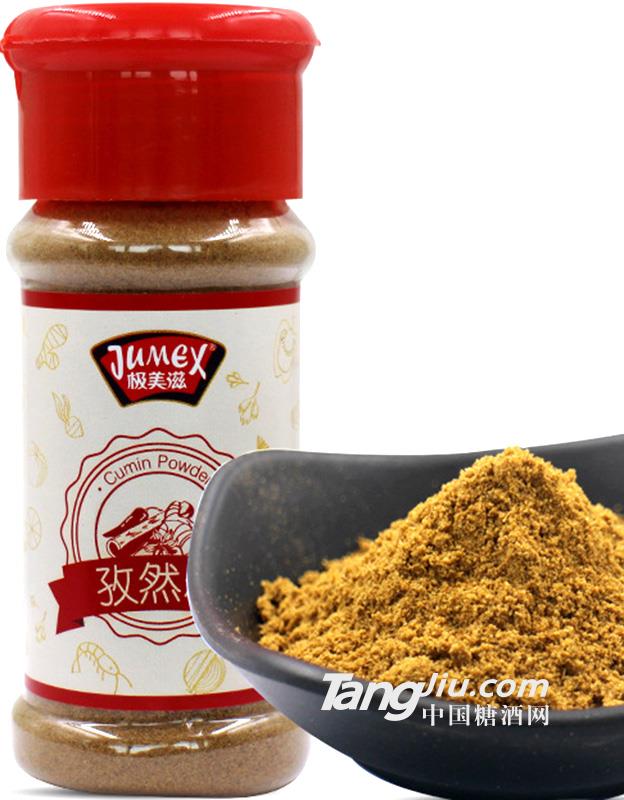 极美滋孜然粉28g