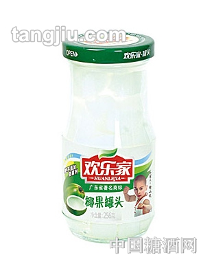 欢乐家椰果罐头256g