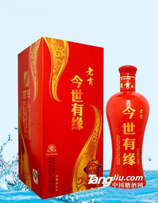 老贡今世有缘