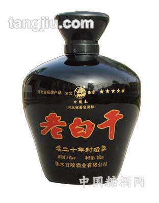 45&#176;二十年封坛