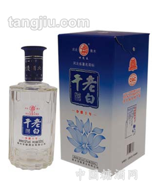 52&#176;十年静雅