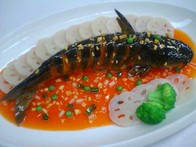 供应共荣食品模型