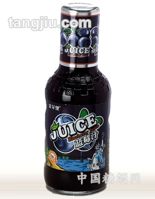 蓝莓汁480ml
