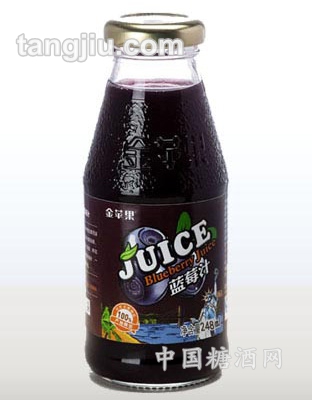 蓝莓汁248ml