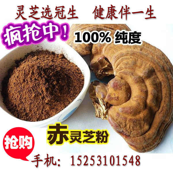 基地供应灵芝粉 灵芝细粉山东灵芝 灵芝价格