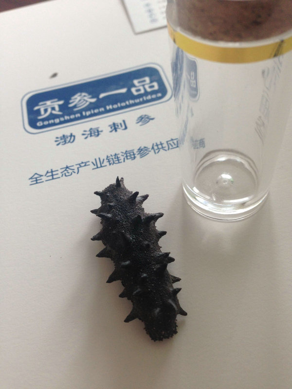 速发参旅