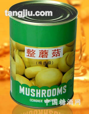 蘑菇罐头精选级