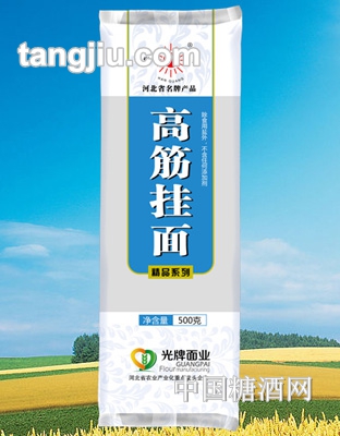 邯光牌高筋挂面500g装