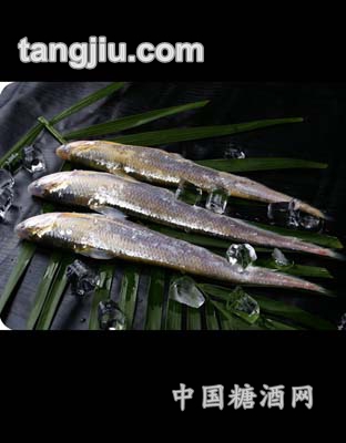 冻刀鱼