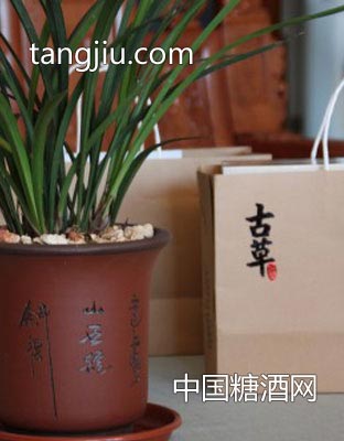 古草养生饮系列19