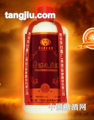 贵州之星酒铂星
