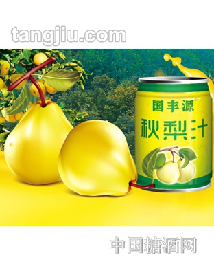 国丰源秋梨汁240ml