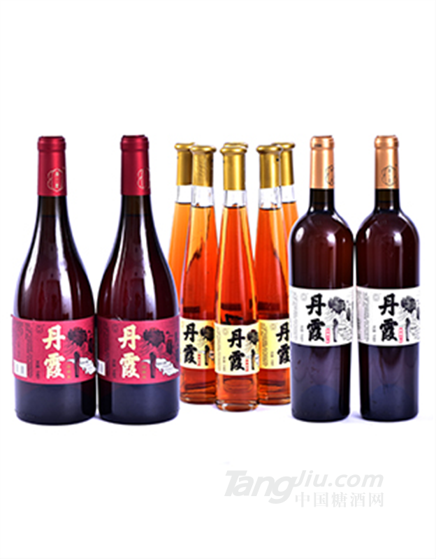果墅梅全果汁低温发酵果酒招商