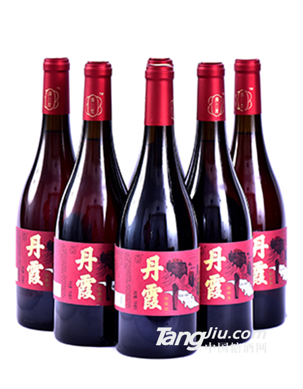 果墅梅750ml杨梅红酒招商