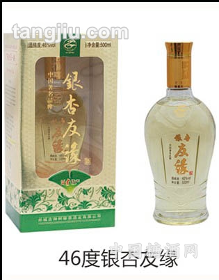46度银杏友缘
