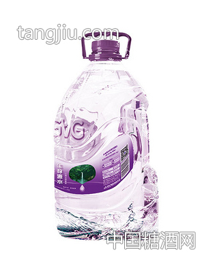 世界村生命源水-家庭装4.5L-天然富硒水