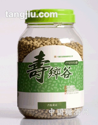 青皮黄豆