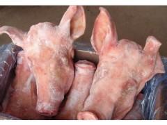 广西批发德国202猪头 丹麦皇冠猪头51厂 德国猪胫骨