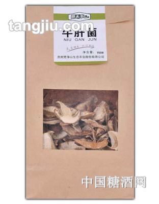 顺天丰牛肝菌