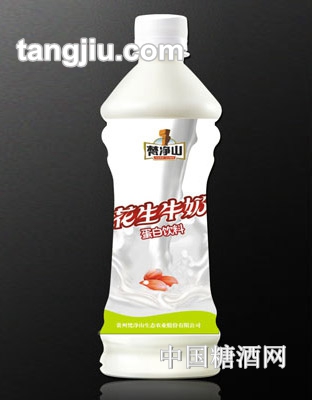 顺天丰花生牛奶蛋白饮料瓶装