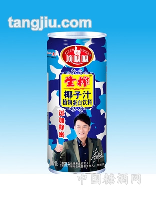 顶呱呱椰子汁易拉罐245ml