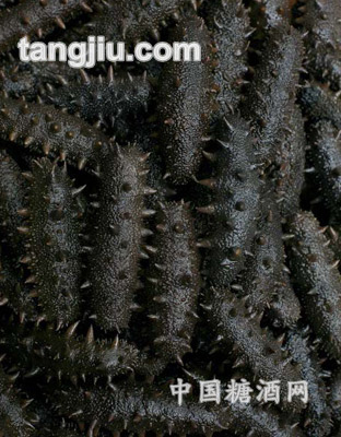 二级盐渍海参