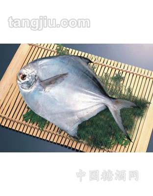 鲳鱼