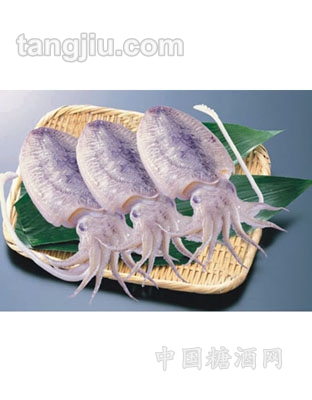 东海野生目鱼