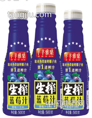 芊芊雅果生榨蓝莓汁500ml