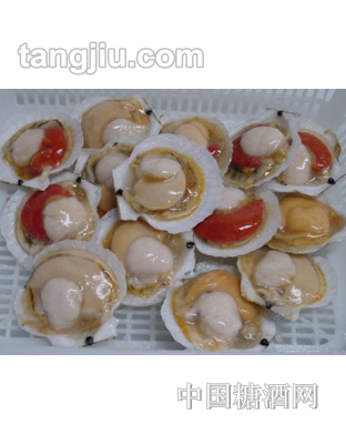 半壳夏夷贝