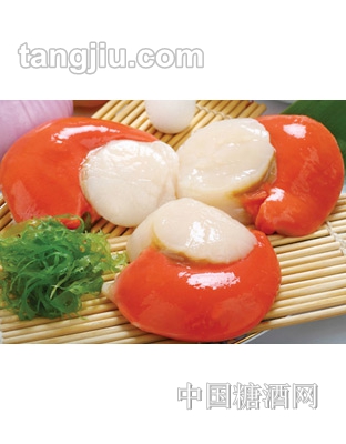 冻生日月贝