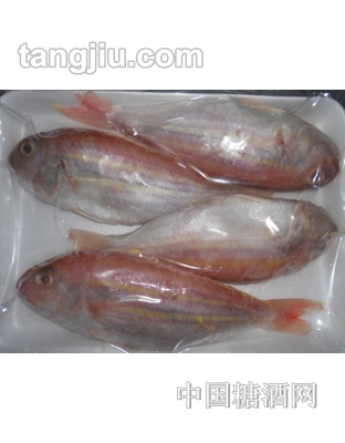 金线鱼