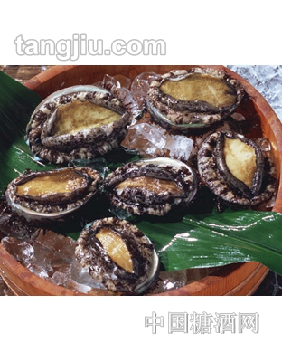 鲍鱼