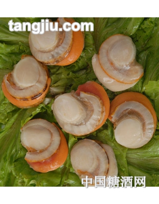 冻煮带裙边夏夷贝