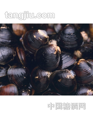 河蚬