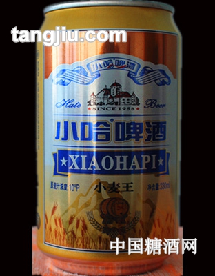 10&#176;P小哈啤酒小麦王330ml