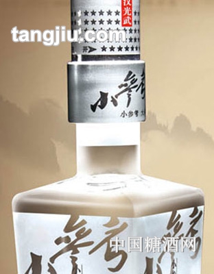 大汉光武小参考480ml