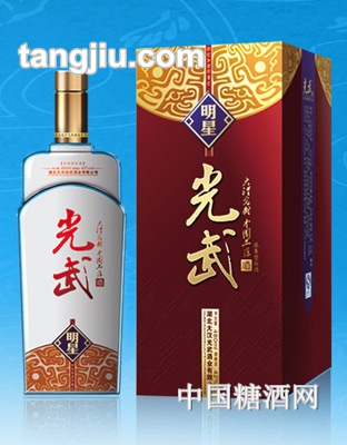 大汉光武明星480ml