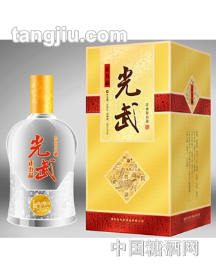 大汉光武正五品480ml