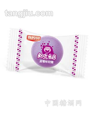 蓝莓味阳光乐园软糖