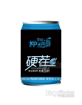 硬茬维生素饮料250ml