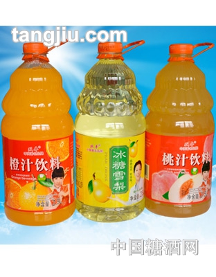 双丰果汁饮料2500ml