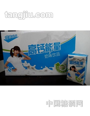 乡村伙伴高钙能量奶味饮品250ml