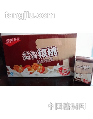 乡村伙伴核桃奶味饮品250ml