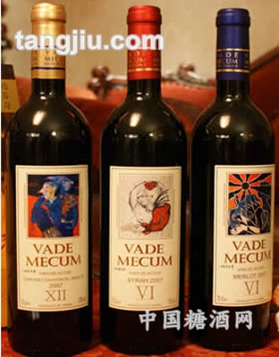 维德梅卡西拉2005