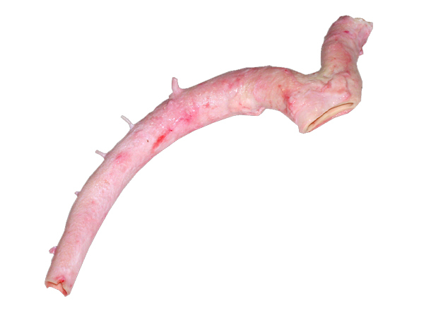 批发牛心管 牛蹄 牛头