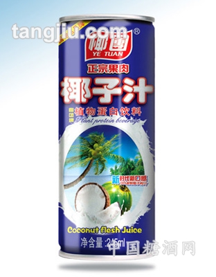 椰子汁植物蛋白饮料245ml